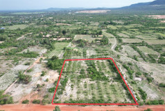 No Property Image